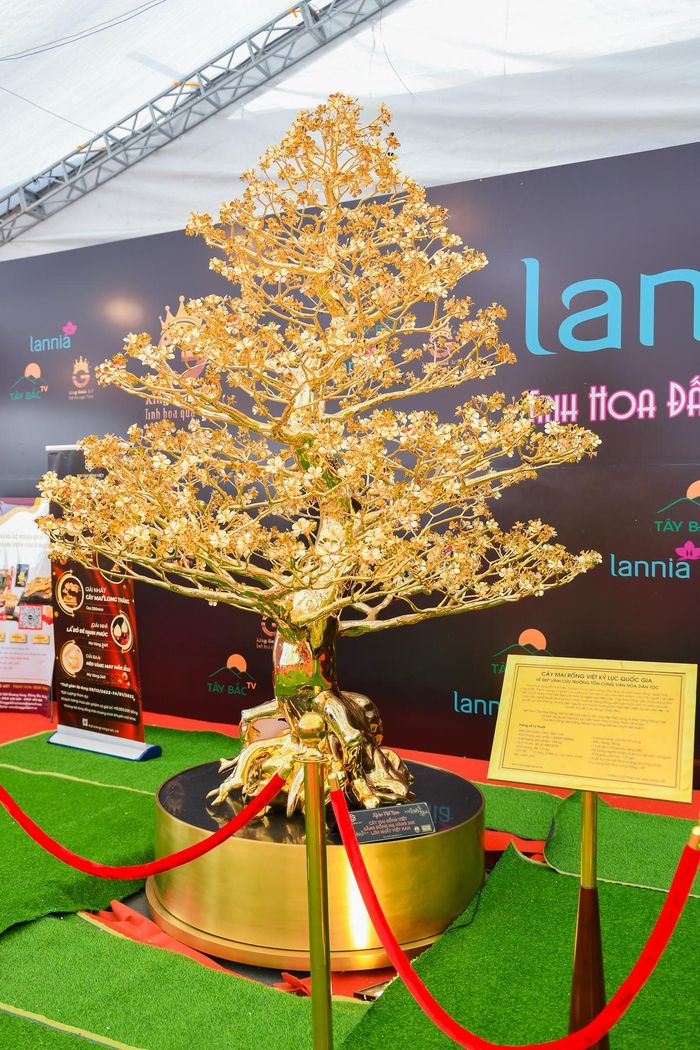  Cây mai bằng đồng mạ vàng 24k có 1.287 nụ và 791 bông hoa. Số lượng vàng lên tới 47.47 chỉ và có giá 1,2 tỷ đồng. 