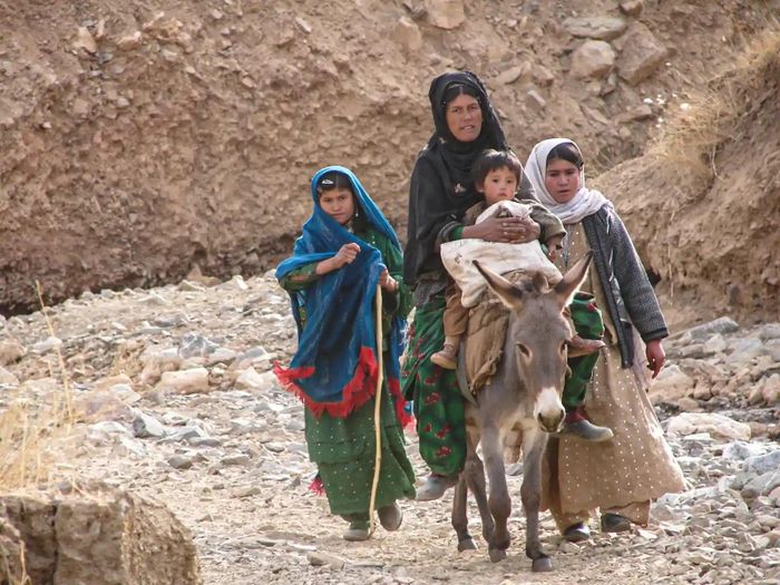  Ở quận Sangtakht, tỉnh Daikundi, trước khi Taliban lên nắm quyền, phụ nữ có thể di chuyển mà không cần sự giám sát của nam giới. Nhưng hiện nay, chính quyền Taliban không chỉ cấm giáo dục cho nữ giới, mà còn yêu cầu tất cả tổ chức phi chính phủ - cả trong nước lẫn quốc tế - không cho nhân viên nữ đi làm, theo Reuters. 