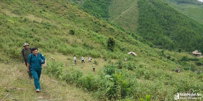 Sở Tài nguyên và Môi trường tập trung xây dựng phương án phân bổ và khoanh vùng đất đai cấp tỉnh trong Quy hoạch tỉnh Nghệ An. Ảnh tư liệu: Mai Hoa