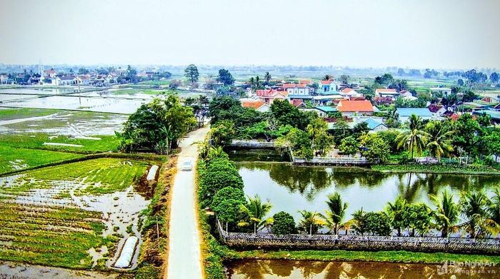 Vườn chuẩn của gia đình ông Chu Đức Thịnh ở Diễn Trường (Diễn Châu). Ảnh: Thế Thắng