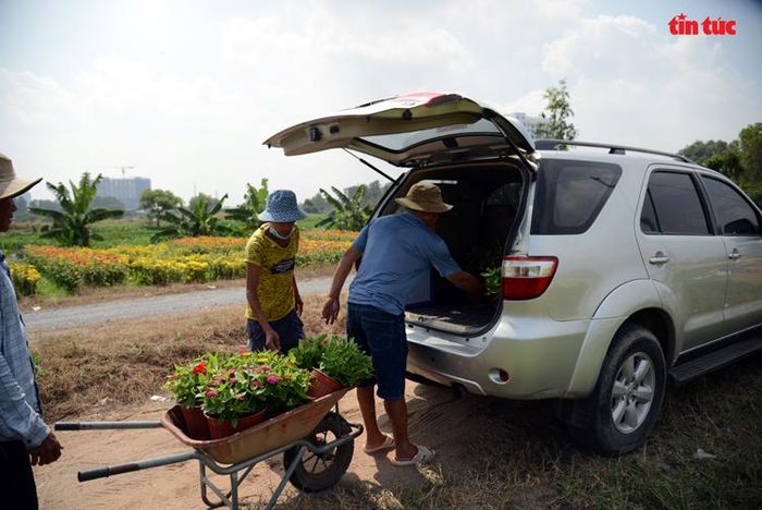 Người dân đi ô tô đến tận nhà vườn để mua hoa Tết.