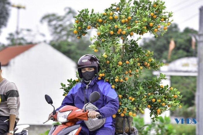 Tất cả đều mong muốn cho gia đình mình có một cái Tết đầm ấm, no đủ nhất.