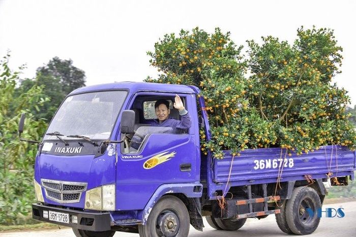 Trên khắp các ngả đường cũng tấp nập những chuyến xe đưa đào, quất đi khắp nơi trong tỉnh.