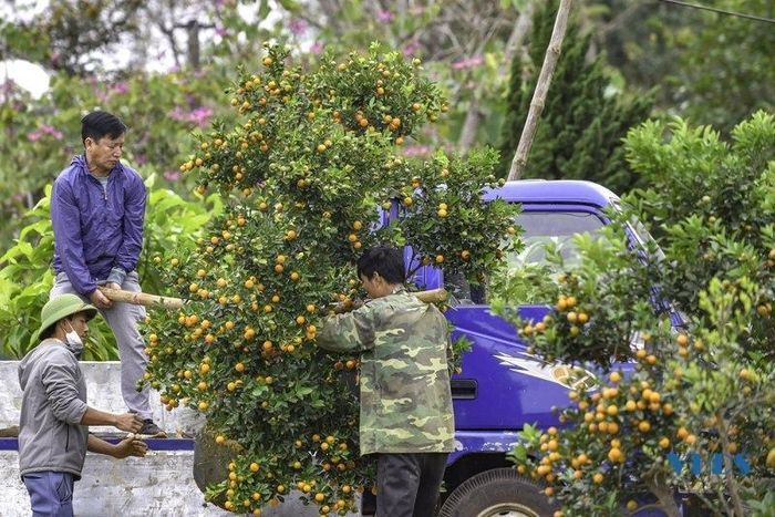 Tiếng nói cười rộn rã trên khắp những cánh đồng.