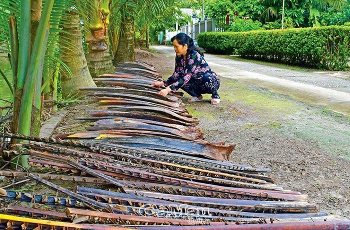 Tuy không nhà cao cửa rộng, nhưng chị Nguyễn Thị Sáu Nhỏ, ở Ấp 1, xã Tân Lộc, huyện Thới Bình, tỉ mỉ tạo cảnh quan xanh, sạch quanh nhà, khiến ai ngang qua cũng phải trầm trồ khen ngợi.