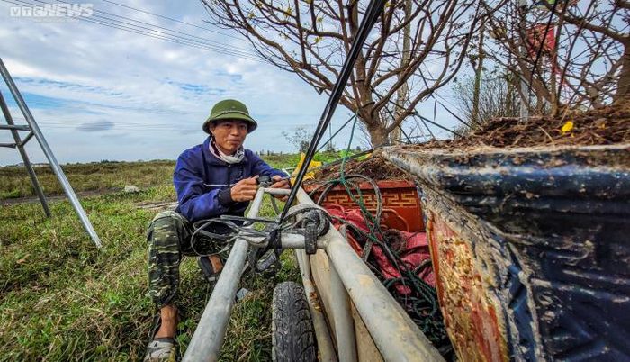 Theo anh Bình, mỗi ngày anh có thể chạy từ 5-7 cuốc, những ngày không có khách thì vẫn có thể kiếm được 500.000 đồng. Đây là năm thứ 3 anh Bình hành nghề chở cây cảnh thuê dịp sát Tết.