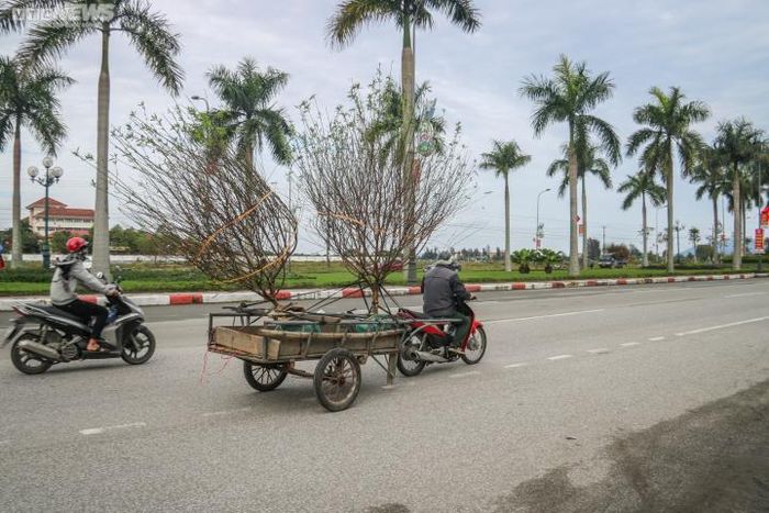 “Nghề này chỉ làm được nhiều từ ngày 20 đến chiều 30 âm lịch. Dù cho thu nhập cao nhưng đây chỉ là công việc thời vụ vào dịp Tết dành cho những người lao động kiếm thêm tiền trang trải cuộc sống”, anh Bình chia sẻ thêm.