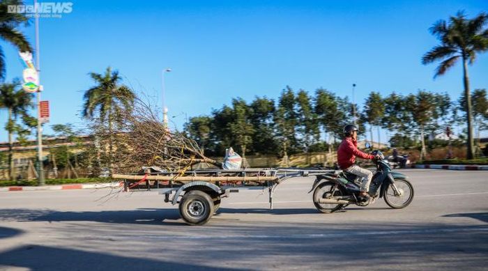Nghề chở thuê đòi hỏi người cửu vạn phải có sức khỏe, cẩn thận, thông thuộc đường xá. Nghề này cũng gặp nhiều nguy hiểm vì có những lúc chở cây lớn đi xa, trời nhiều gió, chở hàng cồng kềnh rất dễ ngã.