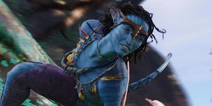 Nhân vật Neytiri (Zoe Saldana)