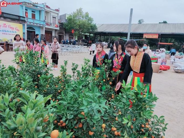Những chậu quất cảnh từ dưới xuôi cũng được vận chuyển đưa lên phiên chợ vùng cao để phục vụ nhu cầu mua sắm của bà con 