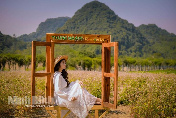 Du khách check-in vườn hoa tam giác mạch tại Thung Nham.