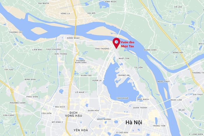  Khu vực vườn đào Nhật Tân nằm dưới chân cầu Nhật Tân (Hà Nội). Ảnh: Google Maps. 