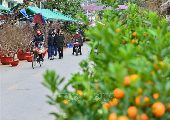 Người dân thăm quan, mua sắm tại chợ hoa Tết.