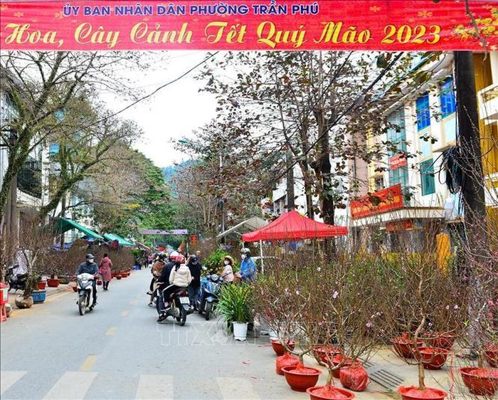 Người dân thăm quan, mua sắm tại chợ hoa Tết.