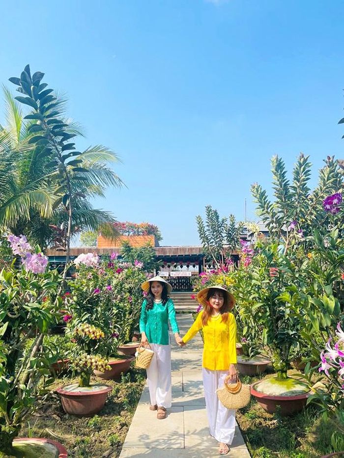 Ngoài hoa tràm, Trà Sư còn có khu vườn hoa lan, hoa giấy, hoàng yến đẹp ngất ngây