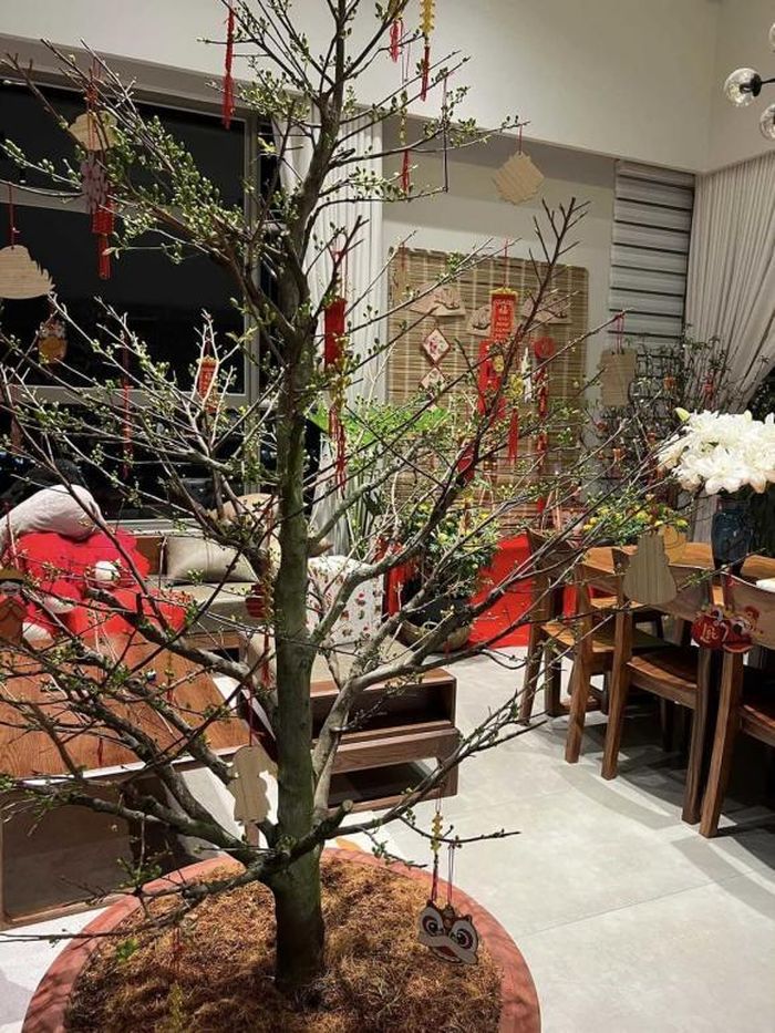 Đây là lần đầu tiên 6 mẹ con Diễm Châu đón năm mới trong căn nhà mới.