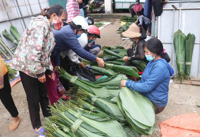Những mặt hàng đặc trưng của chợ quê ngày Tết như lá dong, ống giang... luôn đông khách. Năm nay, nguồn hàng lá dong khá phong phú, nên giá cả có phần rẻ hơn năm trước. Người đi mua lá dong thường chọn loại lá tươi xanh, lành lặn, mới cắt, mong gói được những chiếc bánh chưng, bánh tét đẹp. Ảnh: Huy Thư