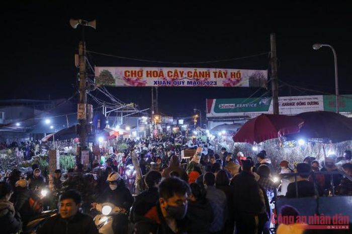 Bên trong chợ hoa, hàng nghìn người chen chân tìm mua hoa ly, hoa dơn, thược dược...