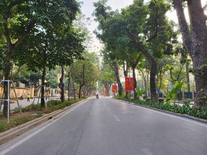 Góc phố rêu phong với những hàng cây vắng người qua lại. Ảnh: An Trần.