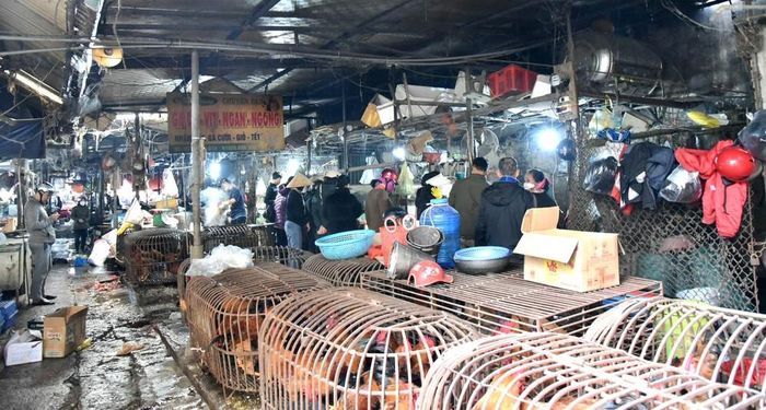 Do lượng khách tăng đột biến nên các điểm làm thịt gà khá nhếch nhác. Ảnh: NK