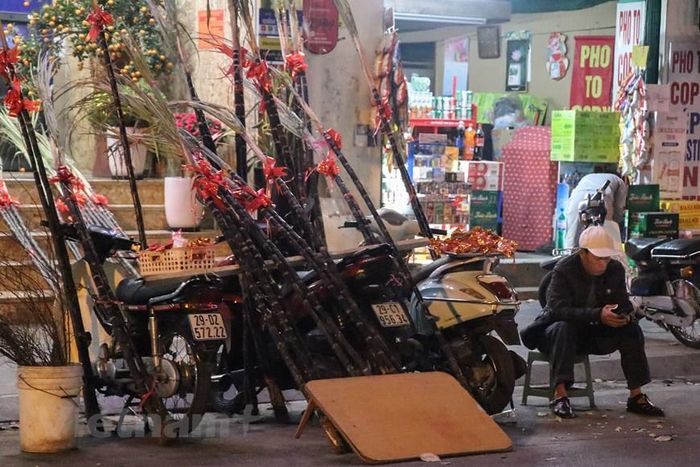  Những cây mía, túi lộc cũng bắt đầu được nhiều tiểu thương bày bán dọc các tuyến phố Thủ đô. (Ảnh: Việt Anh/Vietnam+) 