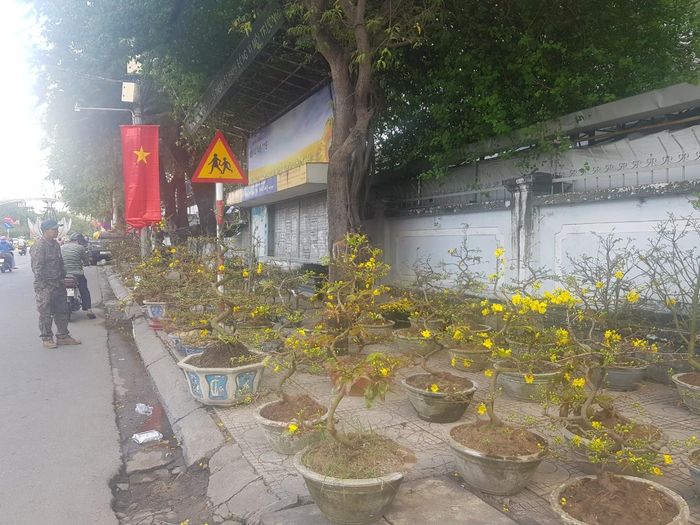 Gần cuối giờ chiều, mai vẫn còn nhiều trên đường Thái Nguyên...