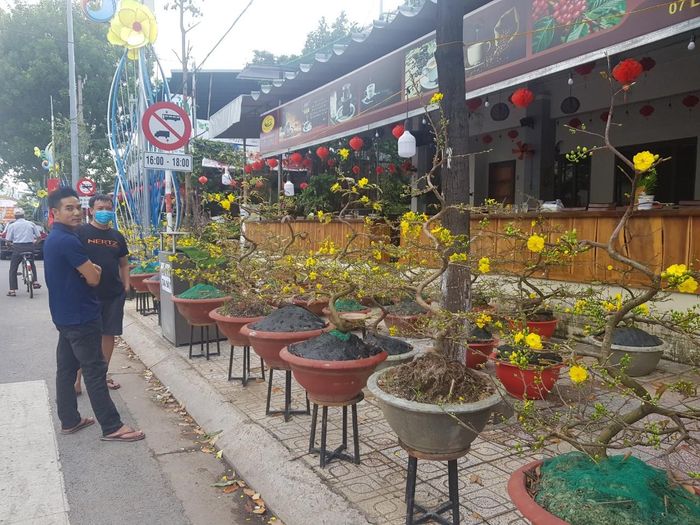 ...và đường Lê Thánh Tôn