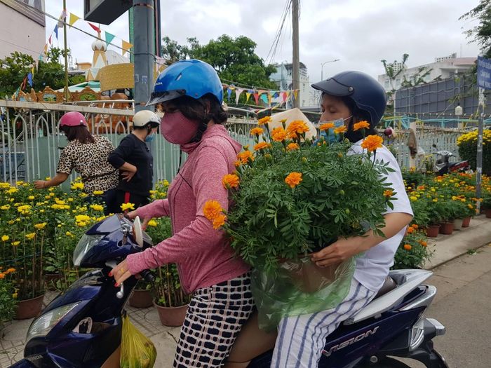 Hối hả mang xuân về nhà