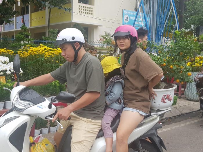 Một gia đình chọn được 1 chậu quất nhỏ