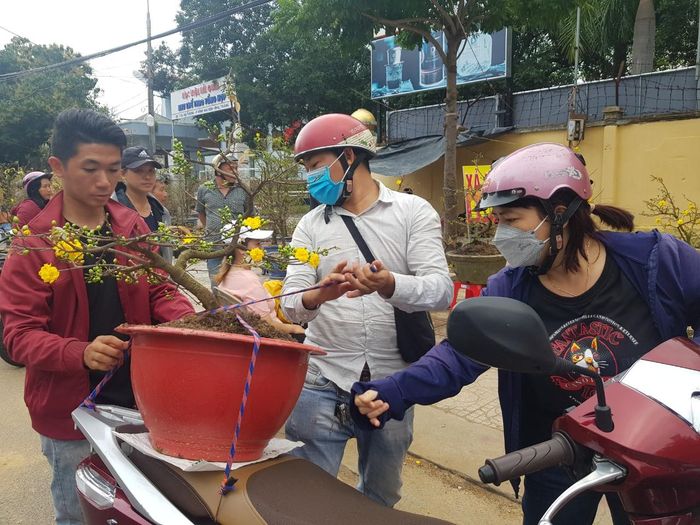Gần cuối giờ chiều, chậu mai được bán với giá 850.000 đồng