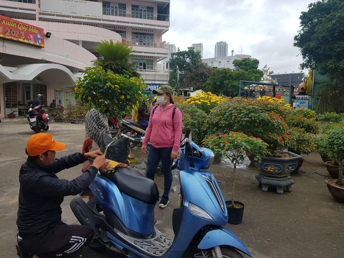 Hoa ngũ sắc được giảm giá còn từ 200.000 chậu tại Nhà Thiếu nhi tỉnh chiều 30 Tết