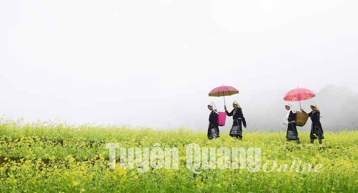 Người dân thôn Nà Mụ, xã Hồng Thái (Na Hang) trồng hoa cải tạo cảnh quan phát triển du lịch.
