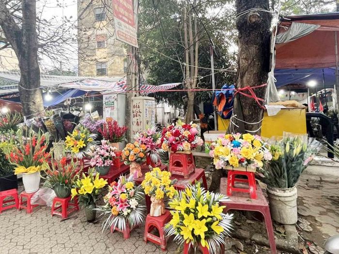 Các loài hoa được bày bán đa dạng chủng loại