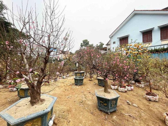 Một tiểu thương chia sẻ: Do "dư chấn" của dịch Covid-19 nên ít khách hơn dù giá cả không tăng cao so với mọi năm