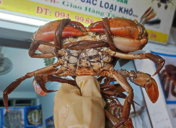 Cua thịt ở miền Tây giá 600.000 đồng/kg. Ảnh: Lâm Hồng.