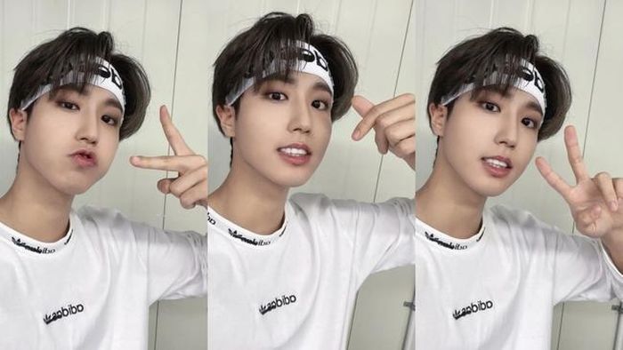 Han (Stray Kids)