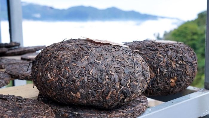 Quả trà cổ - một sản phẩm độc đáo của thương hiệu trà Shanam được ra mắt vào xuân 2023 do chính bàn tay người Mông Tà Xùa làm. Ảnh: Quách Hả/BNEWS/TTXVN