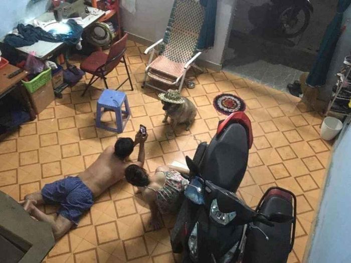 Thực tiễn đôi khi lại khác xa sự tưởng tượng nếu gia đình có một em “boss” chó mèo. Vậy nên mới có chuyện những đứa con ruột thành “con ghẻ” bởi mọi “spotlight” bỗng chốc chuyển hết sang cho “pet” cưng.