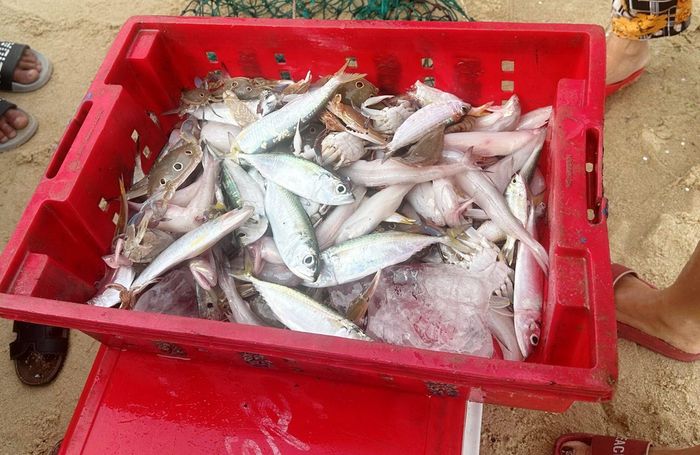 Thành quả của chuyến biển đầu năm