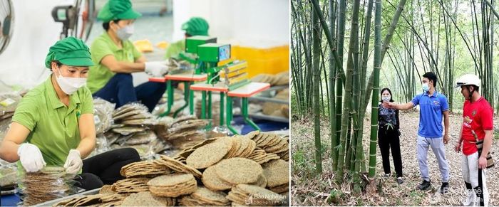 Nhiều bạn trẻ khởi nghiệp thành công từ "tài nguyên" làng. Ảnh Thanh Phúc