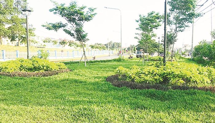 Không gian xanh ở TP Biên Hòa.
