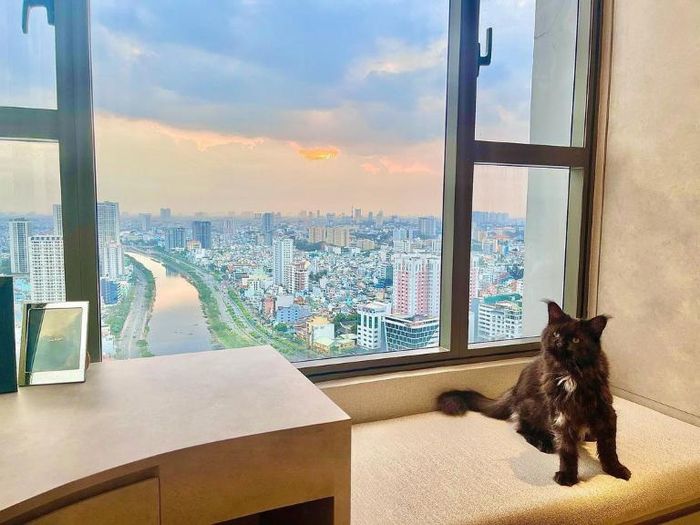 Vợ chồng Trấn Thành - Hari Won sở hữu nhiều bất động sản, trong đó có cơ ngơi 20 tỷ giữa Sài Gòn. Ảnh: FBNV