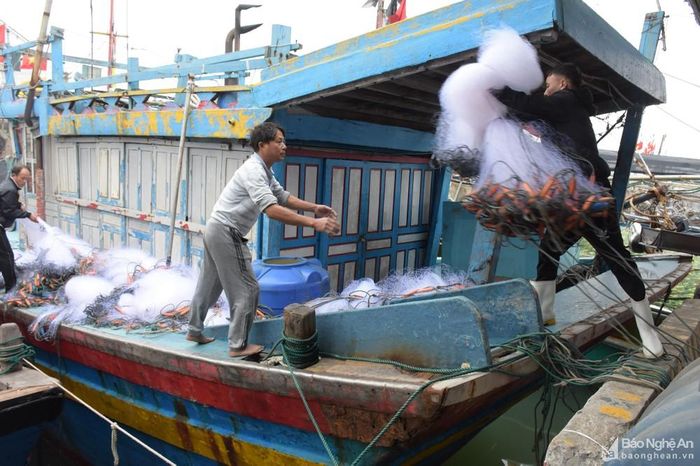  Sau những ngày nghỉ Tết, trưa mùng 4 Tết, nhiều chủ tàu cá ở TX. Hoàng Mai đã chuẩn bị ngư cụ cho chuyến mở biển đầu năm. Ảnh: Thanh Yên 