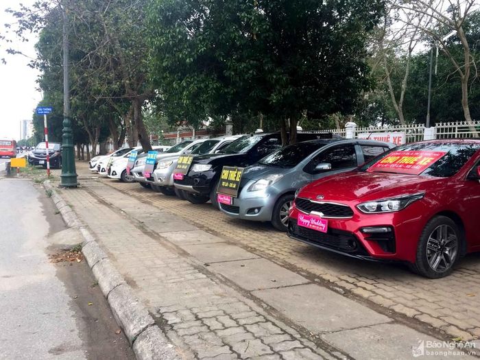  Đa dạng các dòng xe ô tô phục vụ nhu cầu thuê xe của người dân trong dịp Tết. Ảnh: Nguyên Châu 