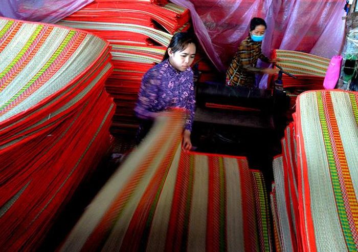 Năm nay, giá nguyên liệu lác tăng, người dệt chiếu không khỏi lo lắng vì lợi nhuận sẽ thấp. Dù vậy, họ vẫn duy trì sản xuất để cung ứng cho nhu cầu thị trường Tết