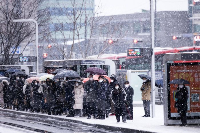  Người đi làm buổi sáng chờ xe buýt giữa trời tuyết rơi ở Seoul, Hàn Quốc. Ảnh: Bloomberg. 