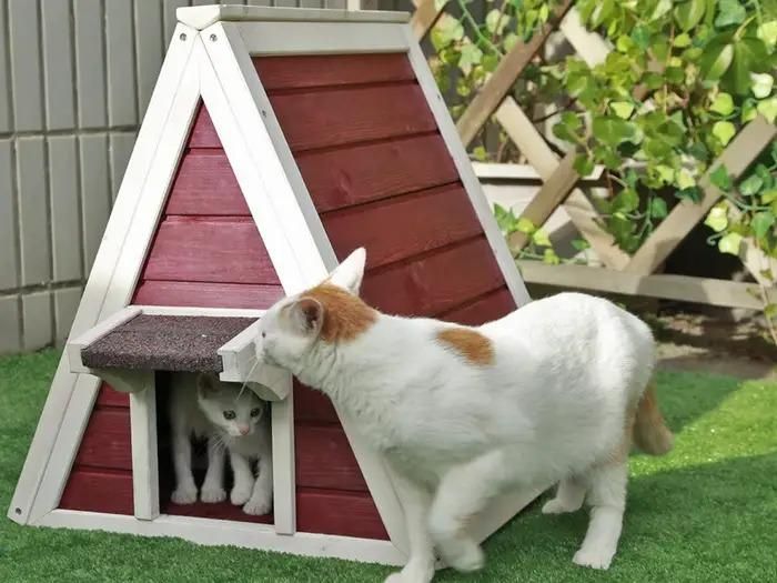 Do đặt ở ngoài trời nên ngôi nhà được thiết kế mái dốc giúp thoát nước nhanh, ván sàn có thể tháo rời để dễ dàng vệ sinh.