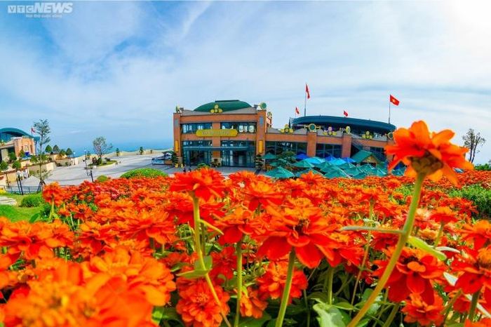 Bên cạnh đó, khách thập phương còn được chiêm ngưỡng sắc xuân ngập tràn "nóc nhà Nam Bộ" qua hơn 400.000 cây, hơn 30 loài hoa.
