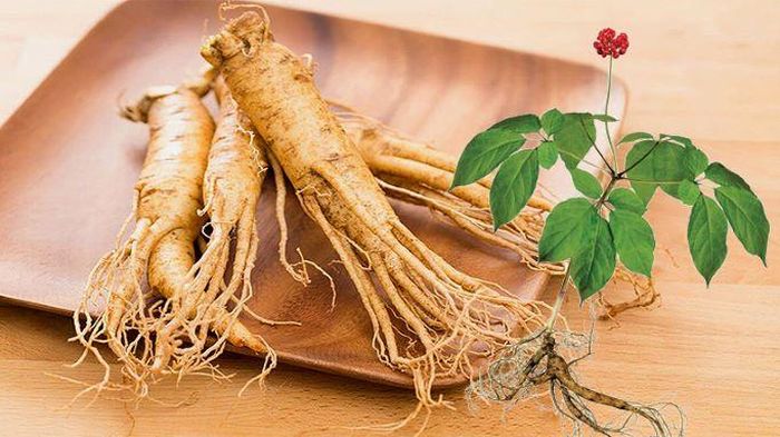  Nhân sâm giúp cơ thể chống lại mệt mỏi. 