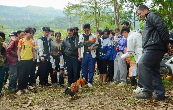 Hoặc thể hiện sức mạnh qua màn "chọi thử".